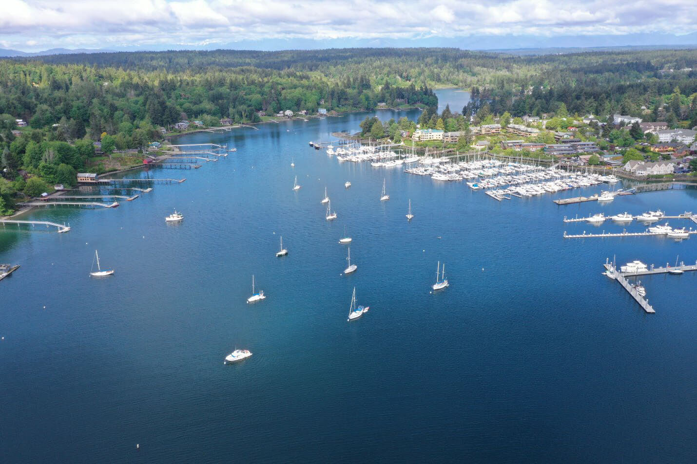 A new tsunami strategy launched for Bainbridge Island